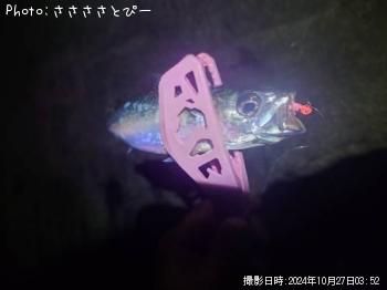 ����������������С����Υ���