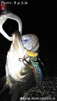 �����Х�