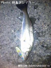 �����Х�