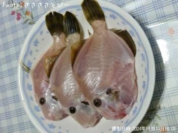 ����ϥ�