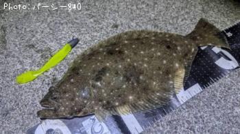 �ҥ��ʥ���