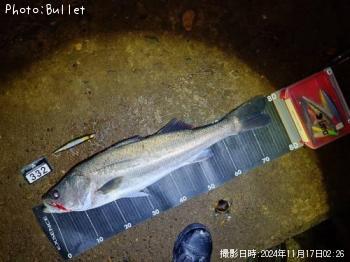 �����Х�