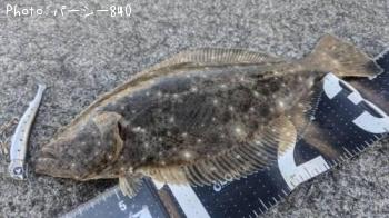 �ҥ��ʥ���