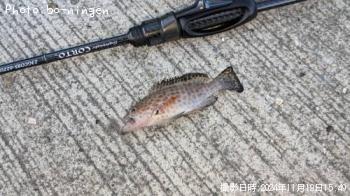 ¥ª¥ª¥â¥ó¥Ï¥¿¡©