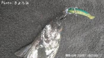 �����Х�