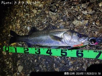 �����Х�