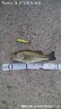 �֥�å��Х�