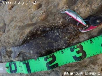 �ҥ��ʥ�����