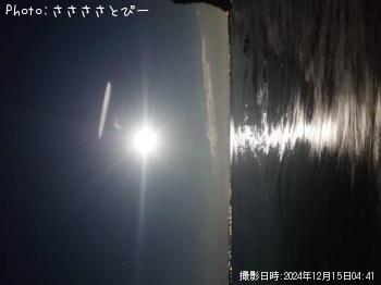 �ҥ��ʥ�����