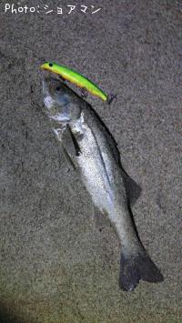 �����Х�