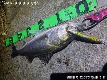 �����Х�