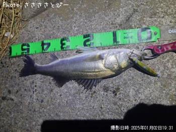 �����Х�