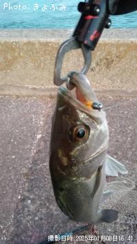 �����Х�