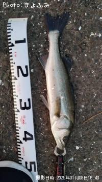 �����Х�