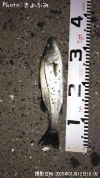 �����Х�