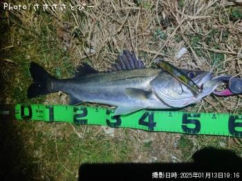 �����Х�