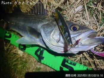 �����Х�