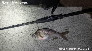 ���ߥ��ʥ�