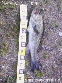 ¥Ö¥é¥Ã¥¯¥Ð¥¹