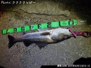 �����Х�