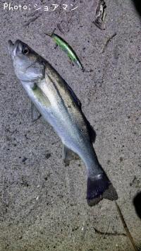 �����Х�