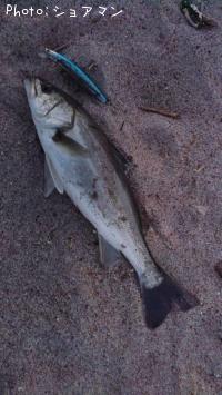 �����Х�