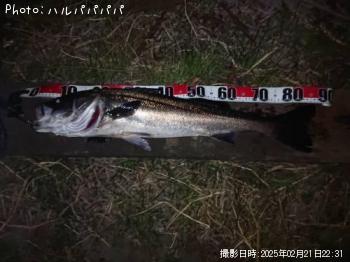 �����Х�