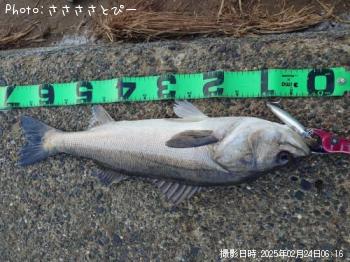 �����Х�