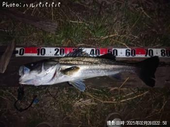 �����Х�