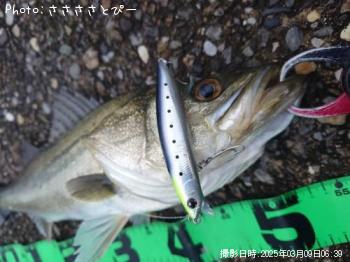 �����Х�