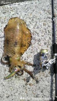 �����ꥤ��