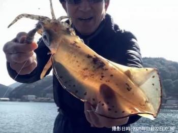 �����ꥤ��