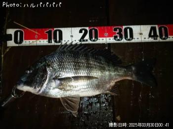 �����Х�����������