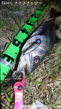 �����Х�