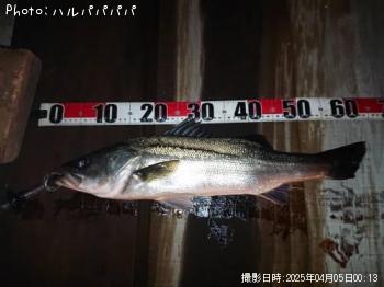 �����Х�