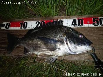 �����Х�����������