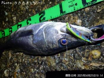 �����Х�