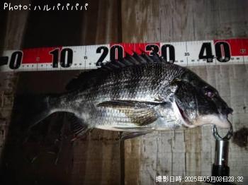 �����Х�����������