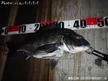 �����Х�����������