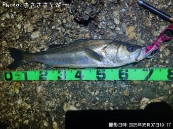 �����Х�