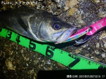 �����Х�