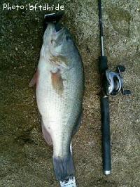 ¥Ö¥é¥Ã¥¯¥Ð¥¹