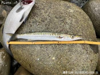 ������󥫥ޥ�