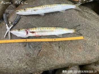 ������󥫥ޥ�