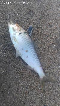 ���Υ���