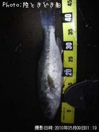 ¥Ö¥é¥Ã¥¯¥Ð¥¹