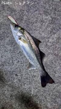 �����Х�