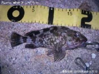 �����Υ���Х�