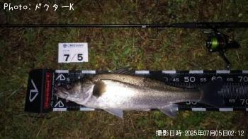 �����Х�