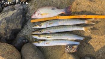 �����ۥ��ե�����